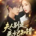夫人别走恶少已知错短剧全集