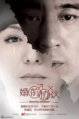 离婚协议 电视剧