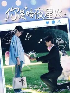 你是暗夜星火全集免费