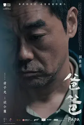 爸爸2024[电影解说文字
