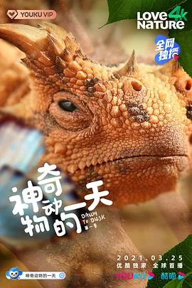 神奇动物的一天 第一季 电视剧