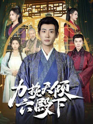 力挽天倾六殿下小说