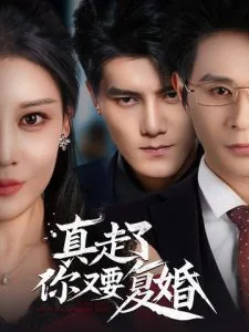 真走了你又要复婚百度百科