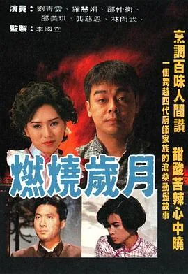 燃烧岁月粤语版免费播放