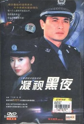 凝视黑夜剧情介绍简介内容