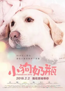 小狗奶瓶观后感