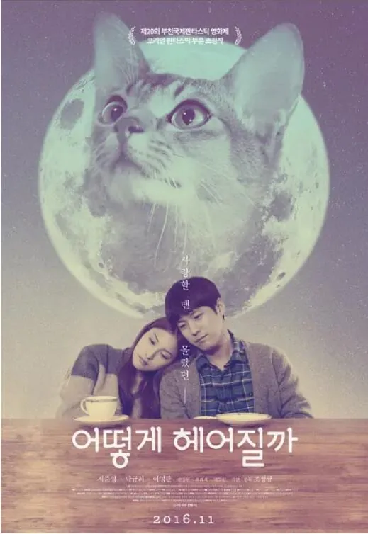 如何与我的猫分手爱情