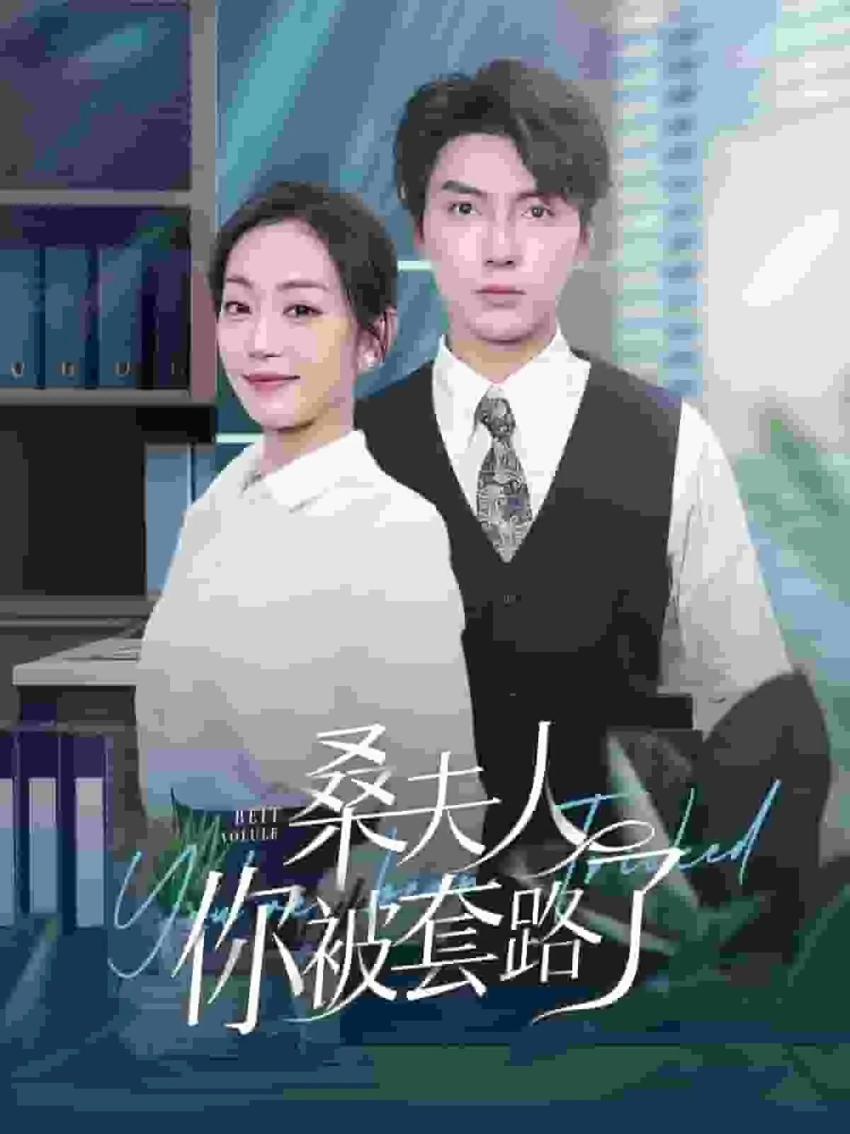 桑夫人你被套路了演员表
