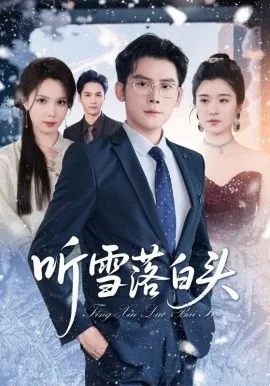 听雪落不闪躲就当白头到老