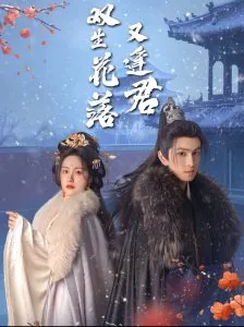 双生花落又逢君短剧推荐