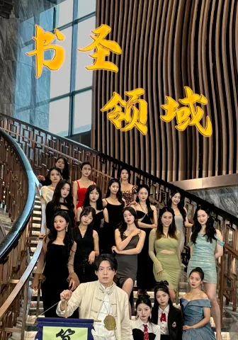 书圣领域在线观看高清