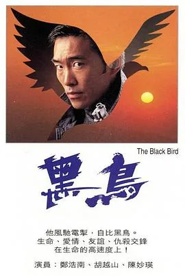 黑鸟歌词