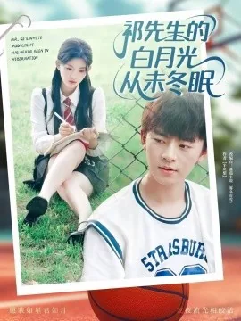 祁先生的小说