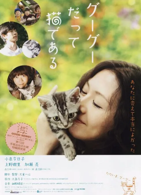 咕咕是一只猫百度网盘