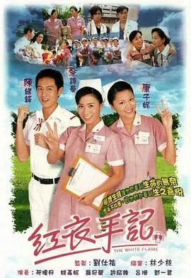 红衣手记电视剧
