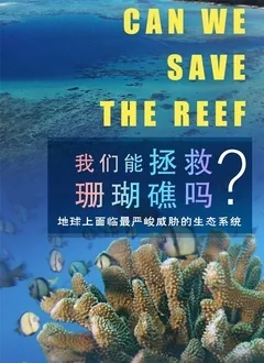 我们可以采取哪些措施拯救珊瑚