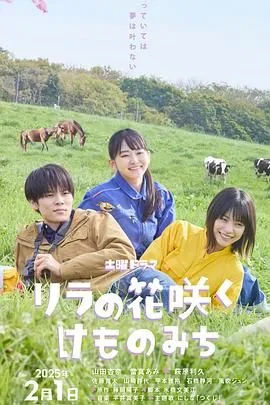 丁香花开完整版视频