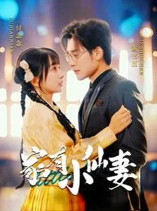 家有小仙妻小说