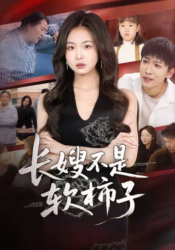 长嫂说的是小说