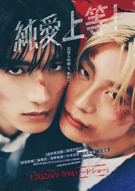 纯爱上等日剧播了吗