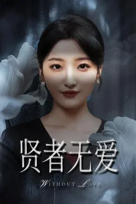 贤者无爱短剧全集