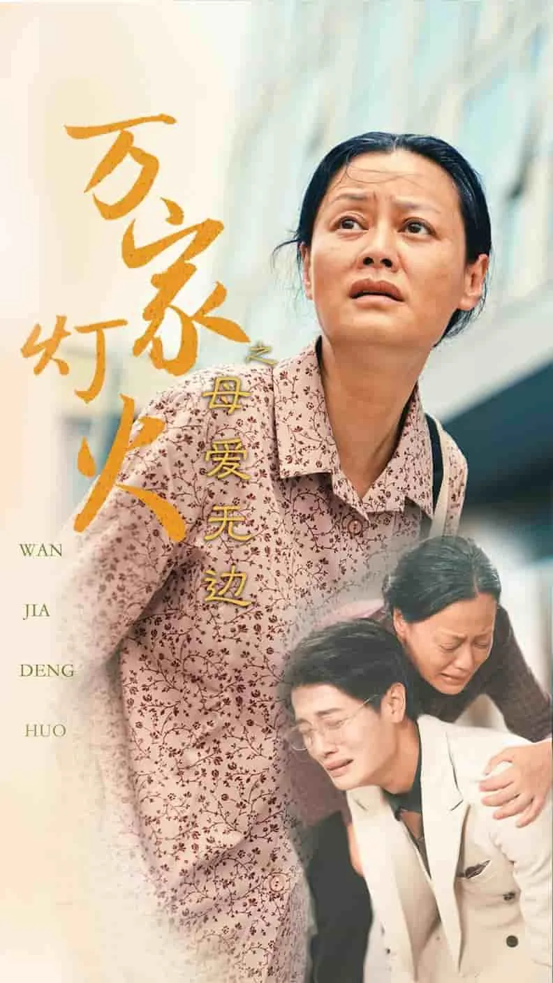 万家灯火之母爱无边 短剧封面