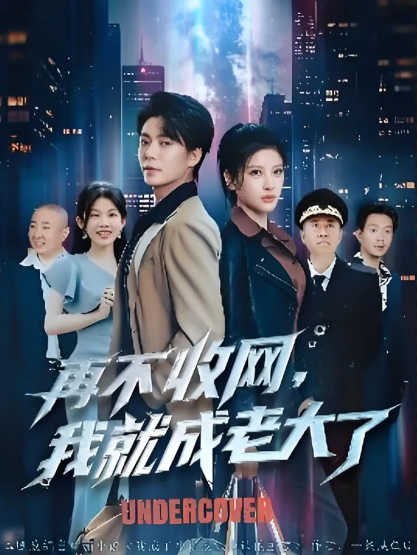 再不收网我就成老大了什么电视剧