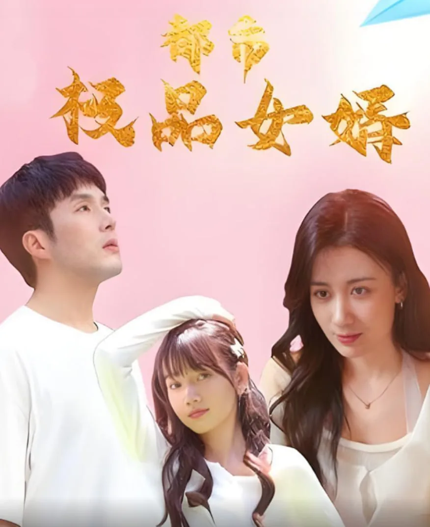 都市极品女婿下载