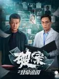 破案之致命追凶上映