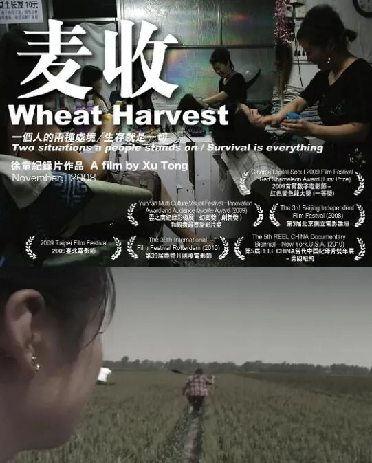 麦收在线观看