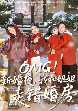 新婚之夜新娘走错房间电视剧