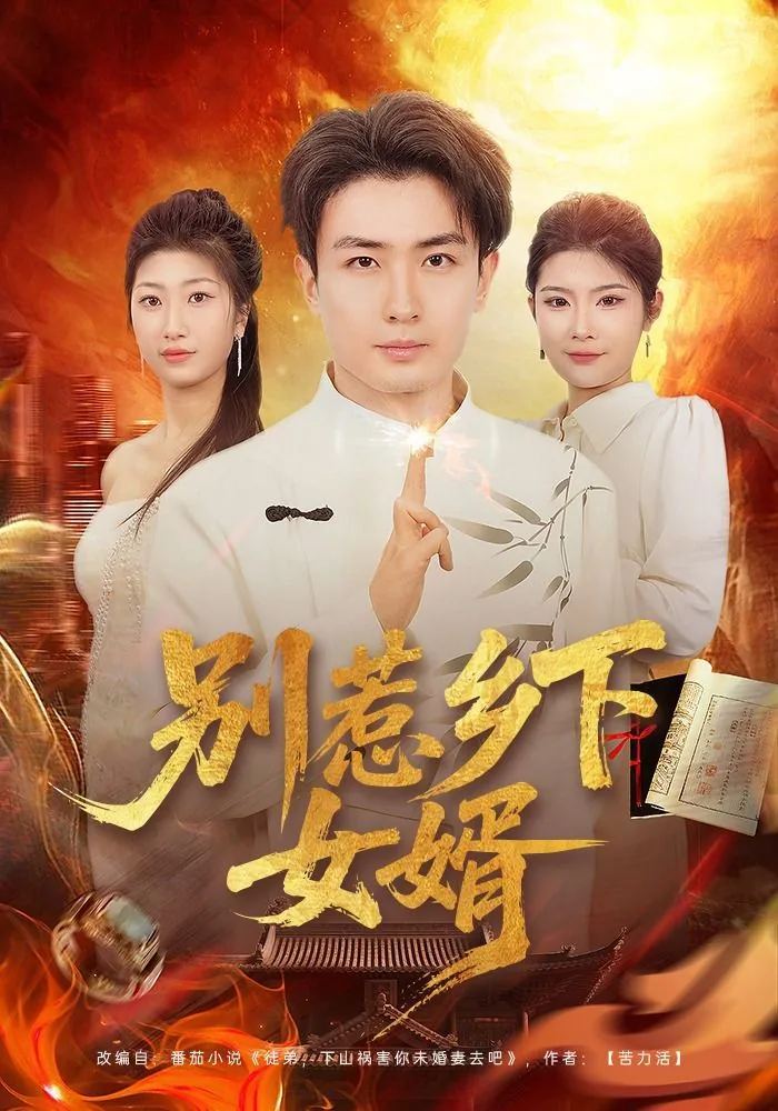 别惹乡下女婿图片