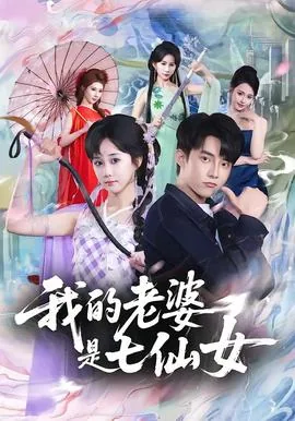 主角的老婆有七仙女的小说