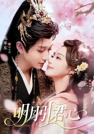 明月引君心女主真实身份