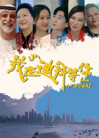 我在迪拜等你免费播放