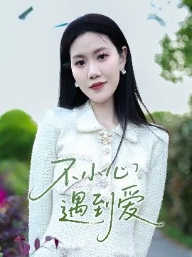不小心遇到爱电视剧免费观看