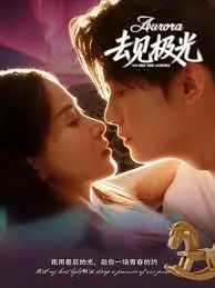 去见极光小说林祁