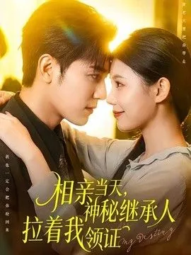 相亲当天豪门继承人拉我来领证