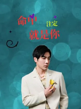 命中注定就是你短剧免费观看