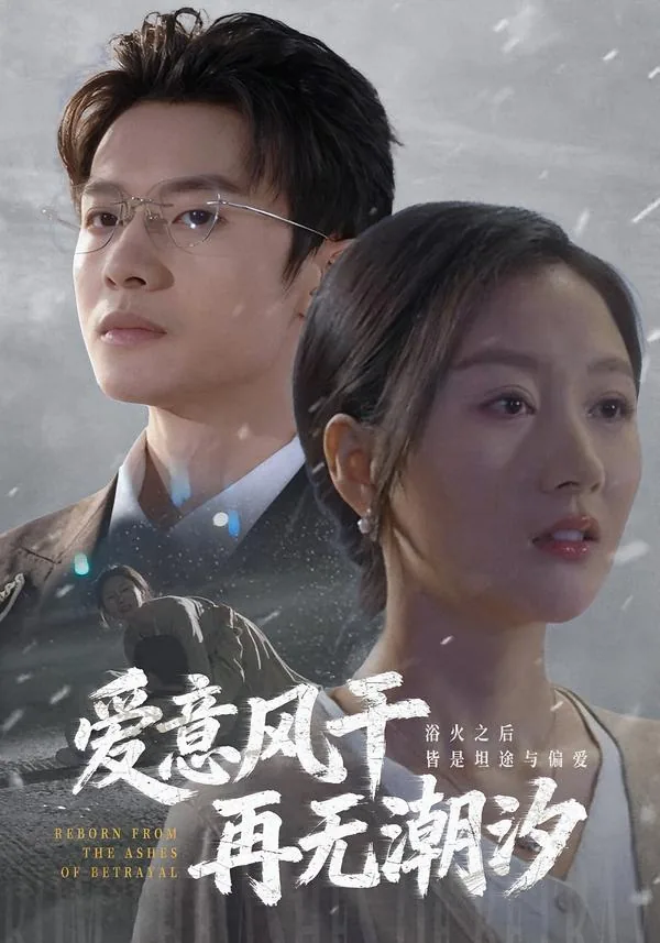 爱意风干,再无潮汐
