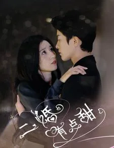 二婚有点甜免费阅读