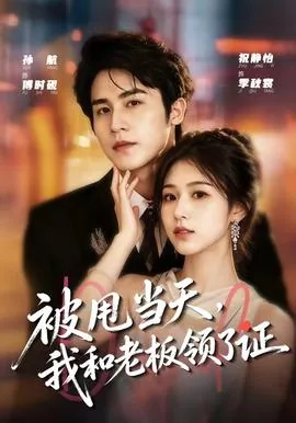 被甩当天,我和老板领了证让我离职