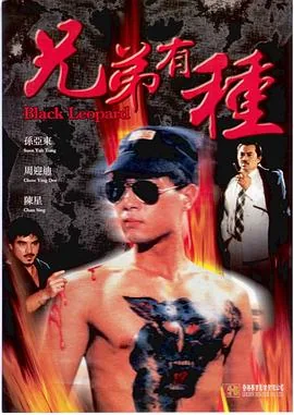 兄弟有种电影免费观看