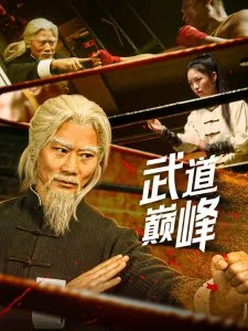 武道巅峰全集免费观看视频
