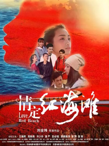 情定红海滩故事梗概简介