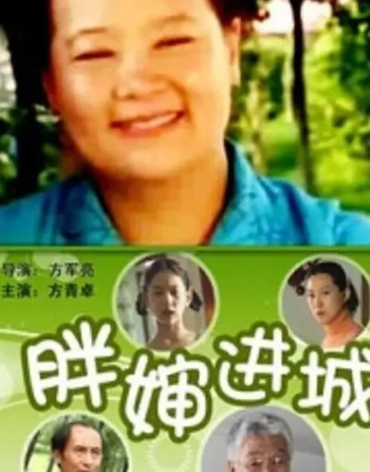 胖婶进城电视剧免费版下载