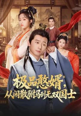 极品赘婿从闲散驸马无双国士2全集