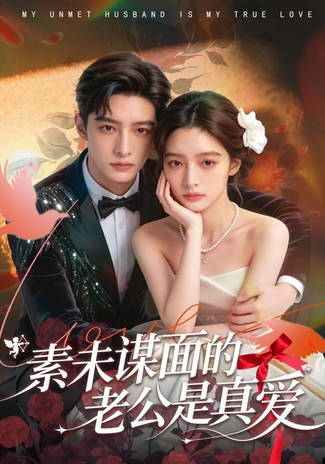 素未谋面的丈夫请与我离婚小说