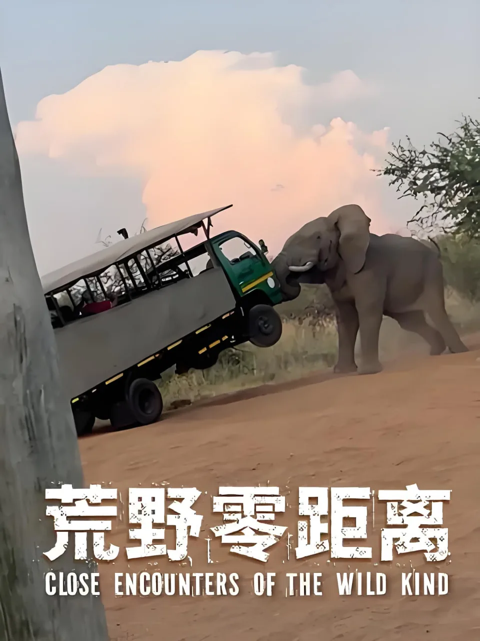 荒野的召唤零距离校准怎么激活