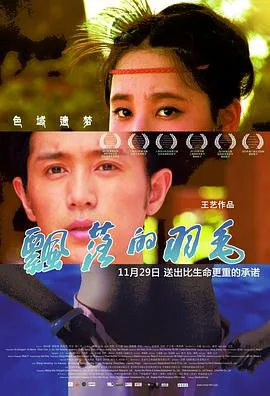 飘落的羽毛蒙特利尔获奖